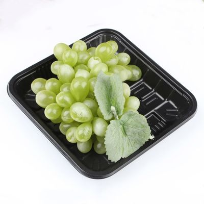 HLD-470 PP plastik fast food tray container machinery pemasok