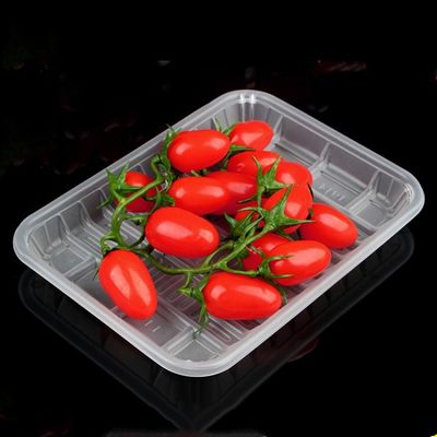 HLD-470 PP plastik fast food tray container machinery pemasok